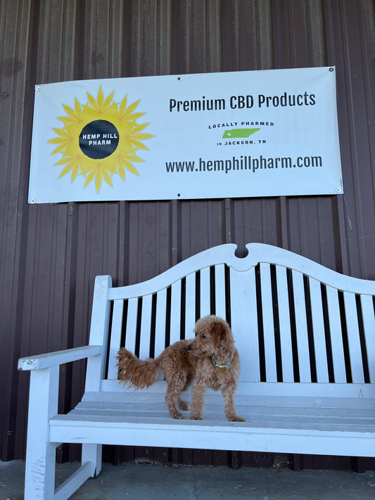 best pet cbd