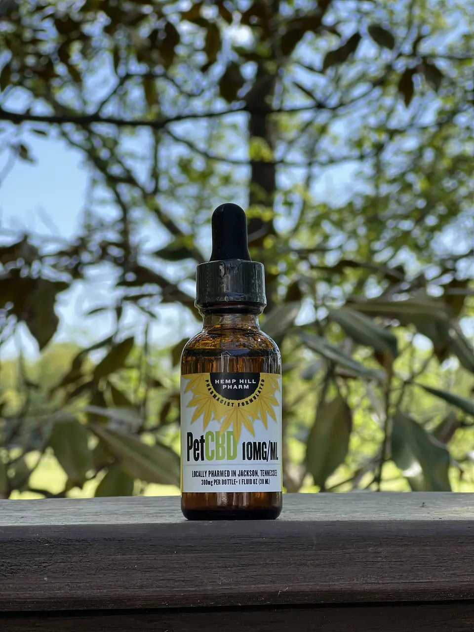 The Ultimate Guide to Pet CBD for Your Furry Friends